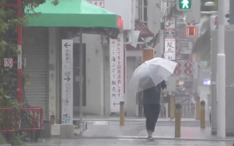 Typhoon Dolphin hits parts of southern Japan