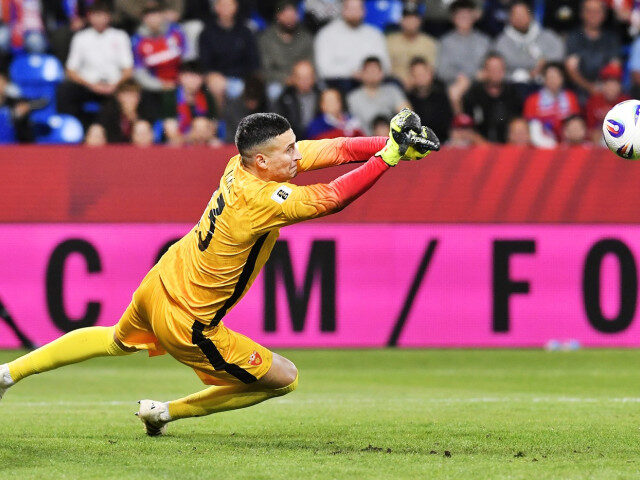 De la Champions League la FC Argeș: Povestea lui Nikic