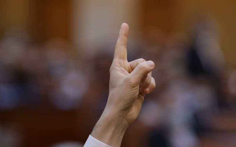 PSD plătește datoria la Lia, speranța justiției, lovită fatal