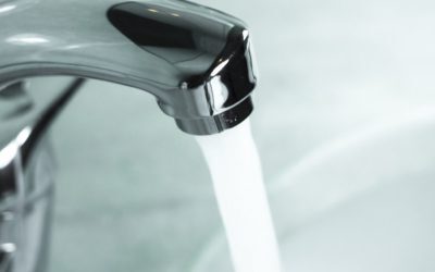Mangan în apă la Pitești: Lacul Budeasa, sursa secată, agravează criza