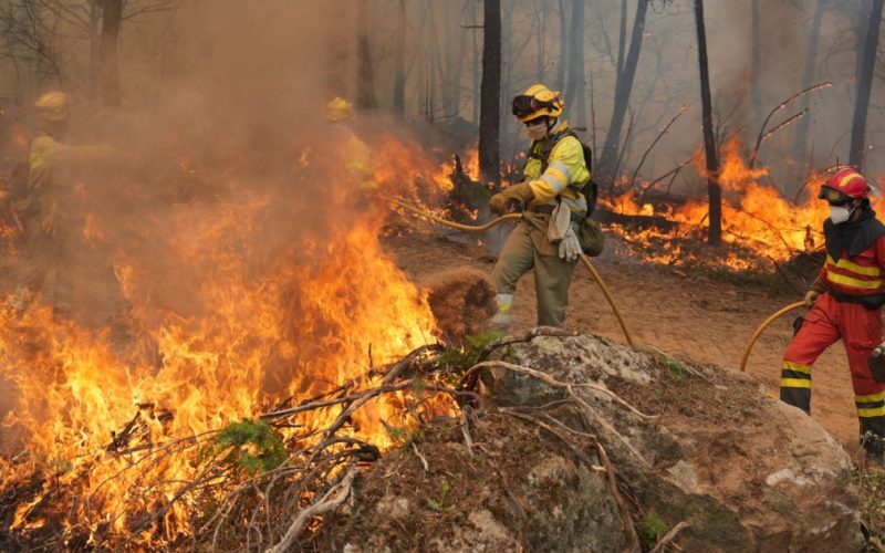 Europa, lovită de climă: Caniculă și secetă, costuri uriașe pe termen lung