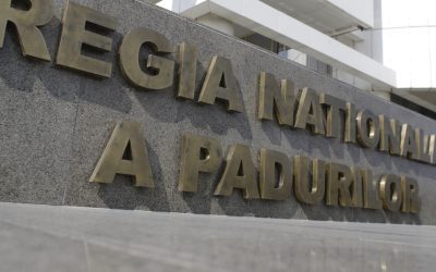 Romsilva, sute de achiziții pe bandă rulantă. ANAP explică ce se ascunde după ele