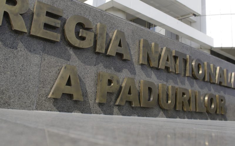 Romsilva, sute de achiziții pe bandă rulantă. ANAP explică ce se ascunde după ele