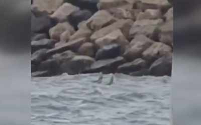 Dronă în Marea Neagră? Zonă evacuată la Costinești