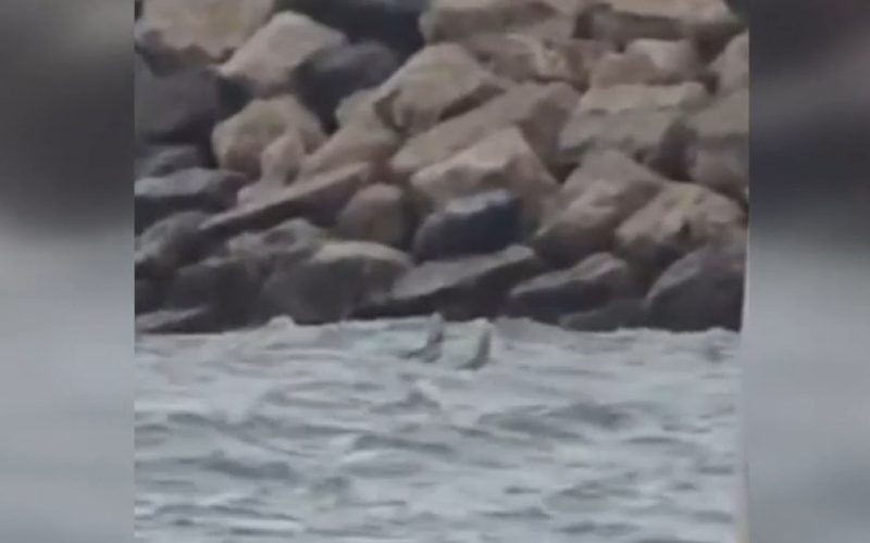 Dronă în Marea Neagră? Zonă evacuată la Costinești