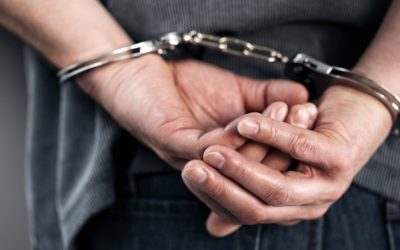 Târgu Mureș: Pisică ucisă cu arma, bărbat reținut de Protecția Animalelor
