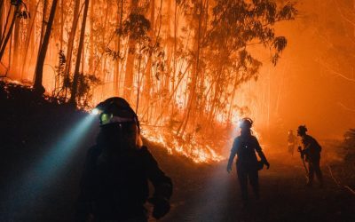 Europa, punct fierbinte: 4 cauze ascund încălzirea dublă