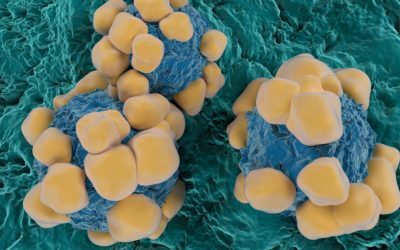 Viagra oprește cancerul? Descoperire uimitoare în studiu