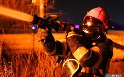 Top 10 meserii fără birou, rezistente la AI