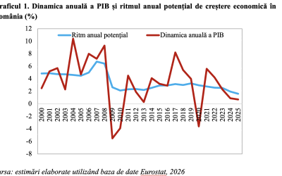România, ritm economic minim din anii ’90: Avertisment Rădulescu