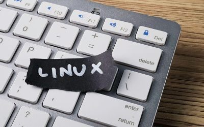 Linux, 35 de ani: De la student la regele infrastructurii globale