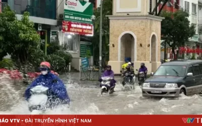 Vietnam.vn - Nền tảng quảng bá Việt Nam