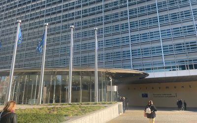 S&D, revoltă pe PNRR: „România nu plătește prețul standardelor duble”