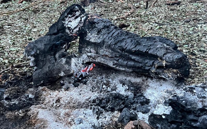 Dronă noua, Tulcea! Descoperire șoc la Plauru