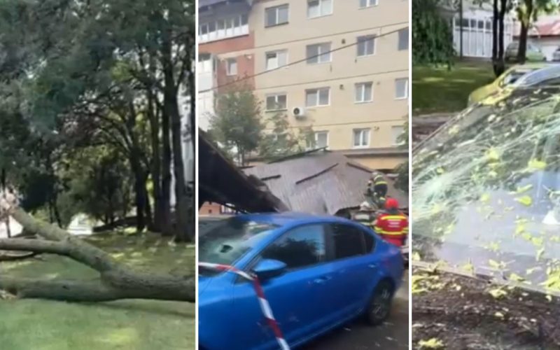 Furtună devastatoare: Copaci doborâți și acoperișuri prăbușite peste mașini
