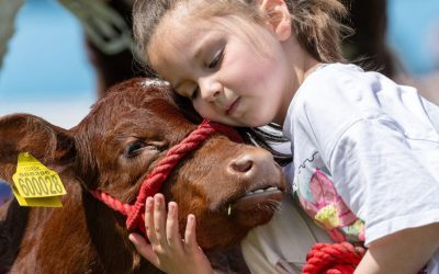 Bacterii din ferma luptă contra astmului și alergiilor