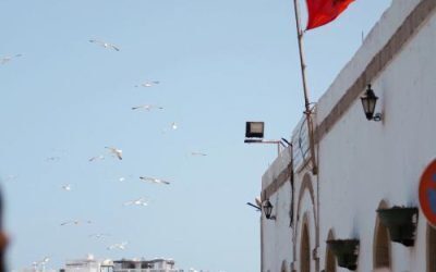 UE dă 190 mil. Euro Marocului pentru migrație până-n 2027