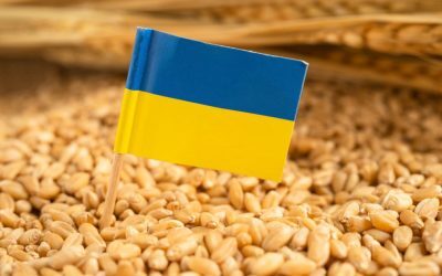 Ucraina cere 220 mil. € de la UE pentru fermierii afectați