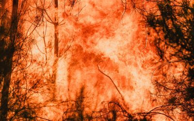 Incendiile europene: Criza climatică majorează riscul de 20 de ori în Spania