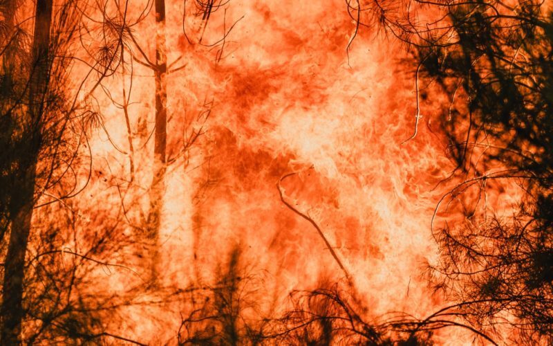 Incendiile europene: Criza climatică majorează riscul de 20 de ori în Spania