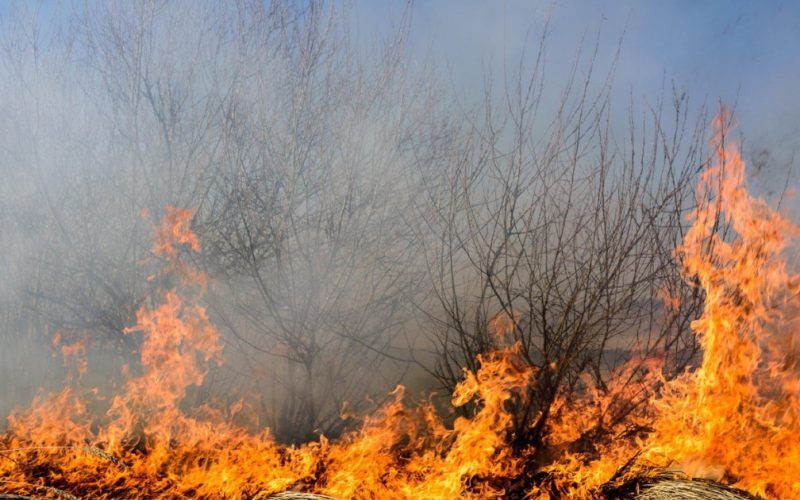 Incendii devastatoare în Caraș-Severin: Zeci de pompieri și elicoptere luptă cu flăcările
