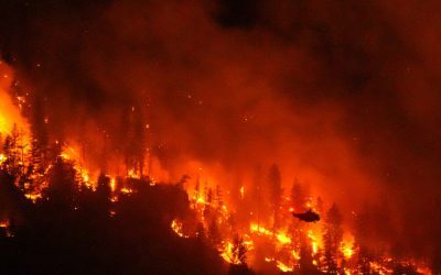Canada: Clima dublează riscul incendiilor, arată un studiu