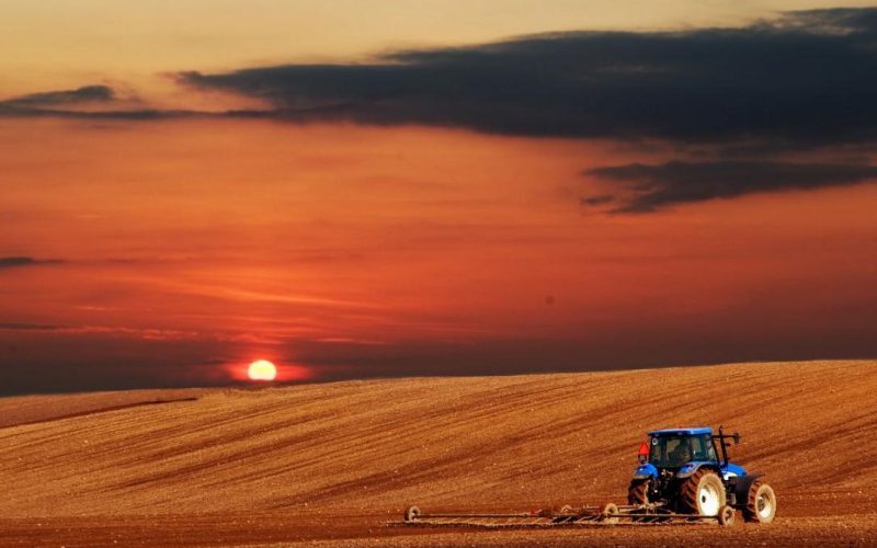 Norofert extinde producția în Brazilia, a doua fabrică în America de Sud