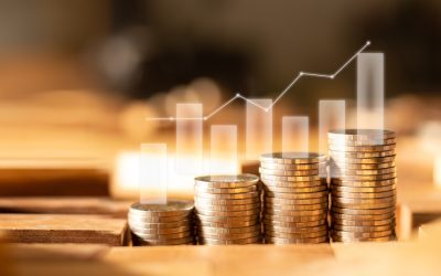 România, pe muchie de cuțit: Moody’s previne, Negrescu trage semnalul de alarmă