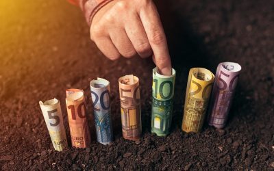 Fonduri UE ferme: Așa prinzi grantul de 50.000 EUR