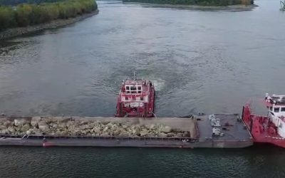 Danube-ul, scut pentru Cernavodă: Riscuri reduse