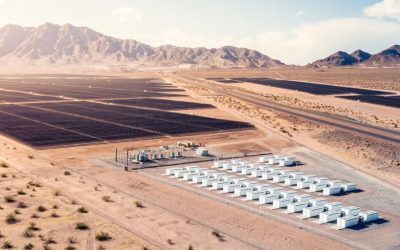 Musk alimentează AI cu Tesla: Miza imensă din spatele proiectului