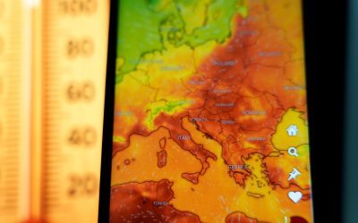 Europa, lovită de caniculă: Peste 35.000 de morți vara aceasta