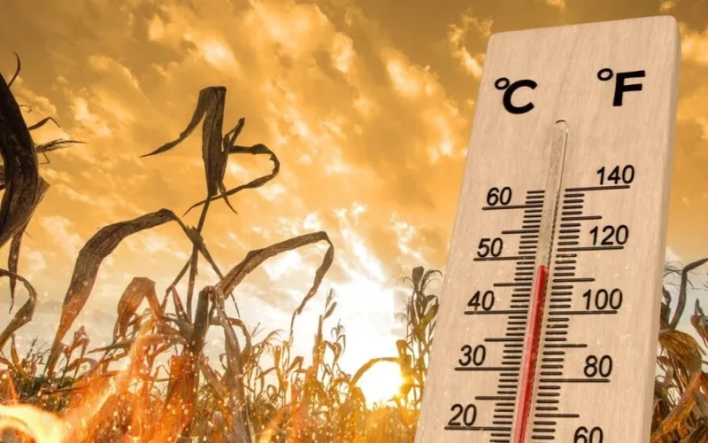 Seceta extremă: Anul de cotitură, o nouă realitate climatică