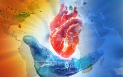 Căldura Extremă: Inima în Pericol. Medicii Avertizează