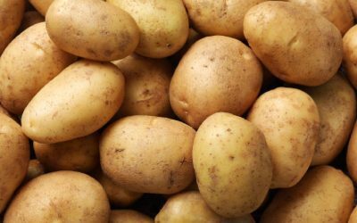 Cartof pe frunte contra febră: Remediu sau mit?