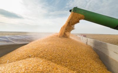 Ucraina via Moldova spre Constanța: Nou traseu pentru cereale