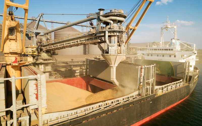 Război la Marea Neagră: Pâinea se scumpește, grâul zboară spre Constanța