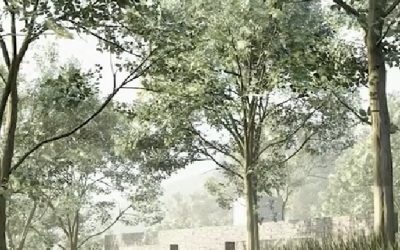 Cluj-Napoca: Primul cimitir public pentru animale, aproape gata