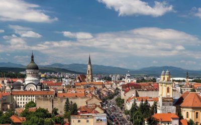 Boc, TRANSAVIA SĂ-ȘI CEARĂ SCUZE: Fetidul din Cluj revine
