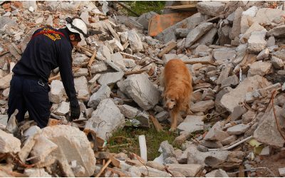 Cutremur devastator în Columbia: Peste 50 de morți