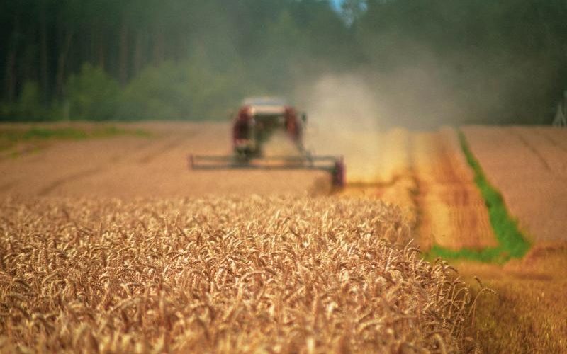 Ucraina cere UE 220 mil. Euro pentru fermieri afectați
