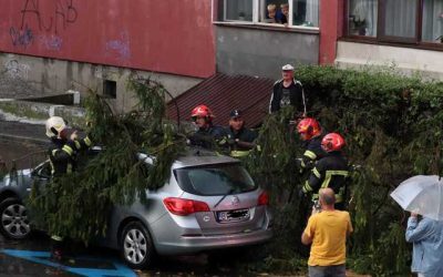 Brașov sub asalt: Copaci puși la pământ de furtună și inundații