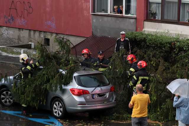 Brașov sub asalt: Copaci puși la pământ de furtună și inundații