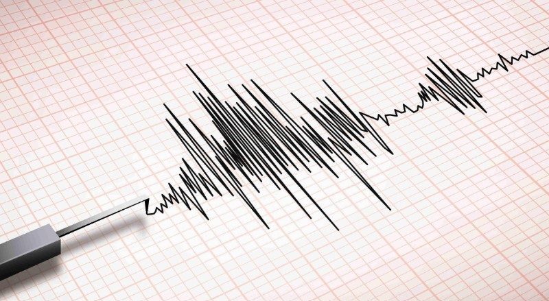 Cutremur în Buzău: 4,3 grade zguduie județul