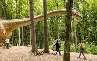 Dino Parc Râșnov, 4,5 milioane vizitatori și 130 mil. Euro impact economic