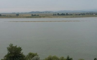 Bara Sulina blocată: 50 nave așteaptă, UE caută soluții la Reni