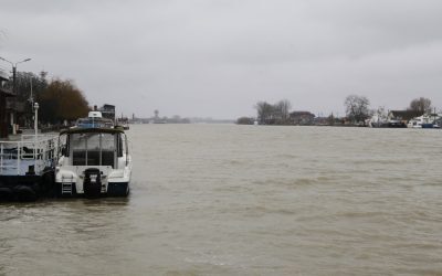Sulina: Ucraina nu exportă cereale, lipsesc piloți