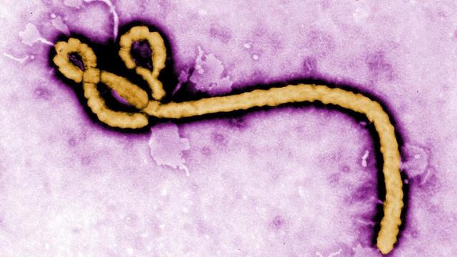 Ebola mutată în RD Congo: Epidemie necontrolată