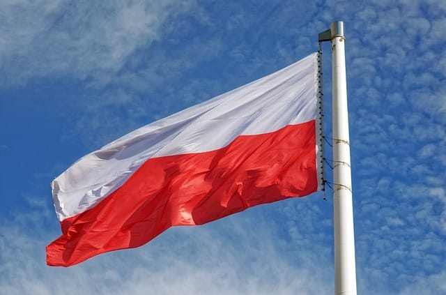 Polonia: Fost viceministru corupt, prins în Transnistria