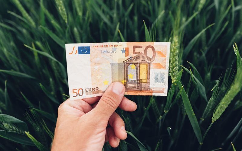 Ferme mici: 50.000 EUR din fonduri UE. Ghidul AFIR și grila de punctaj